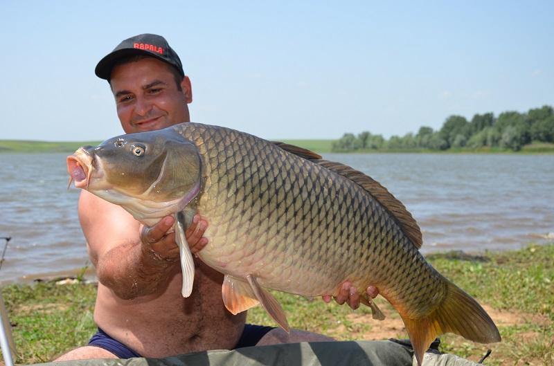 CUPA BECKER SARULESTI - pescuit-crap-sarulesti-13.JPG